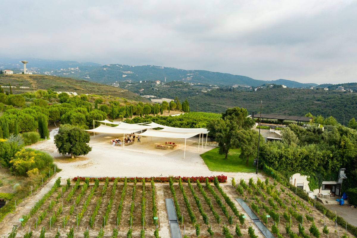 ixsir-winery-lebanon-traveler-grapes-vineyards-wine-4