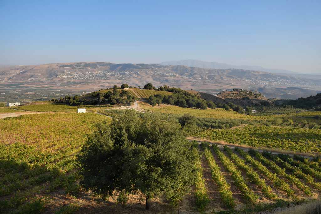 Chateau-Qanafar-winery-tour-lebanon-traveler