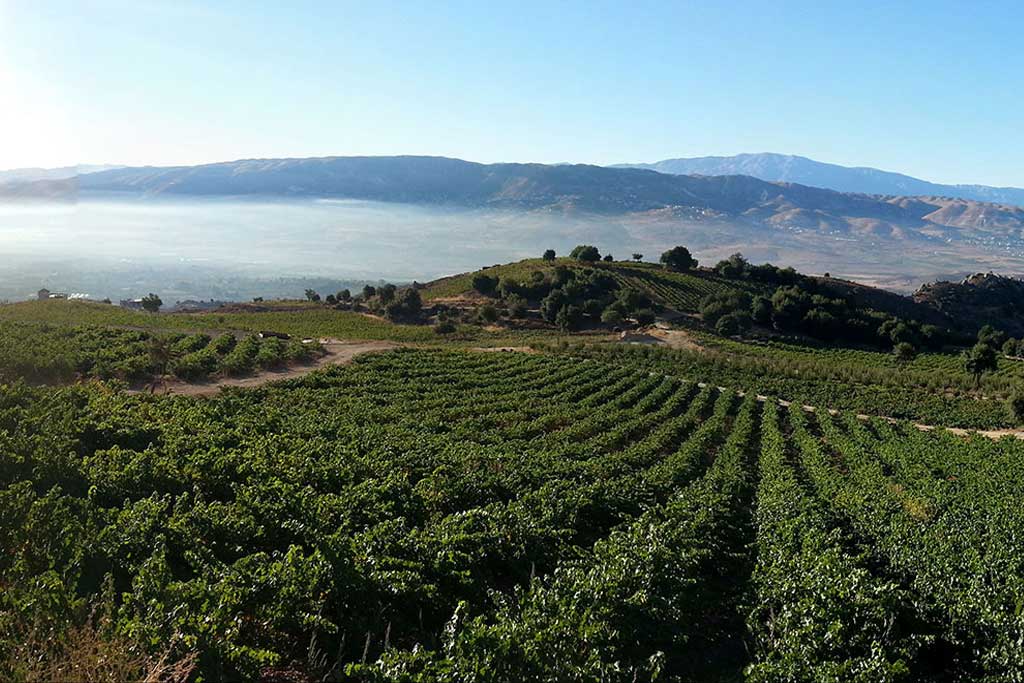 chateau-qanafar-winery-west-bekaa-lebanon-traveler