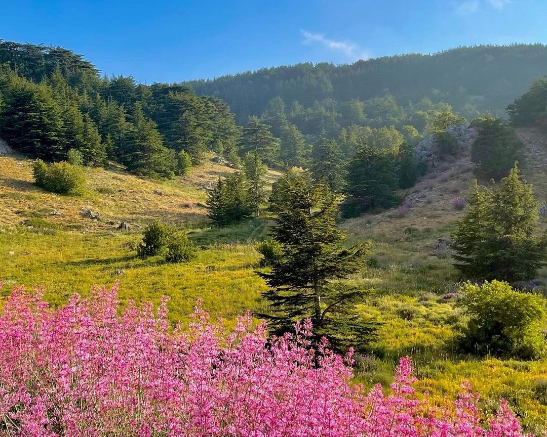 shouf-biosphere-reserve-lebanon-traveler