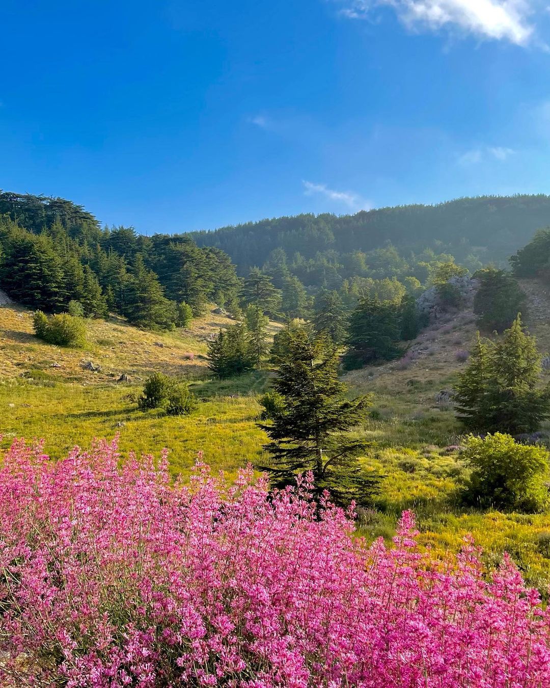 shouf-biosphere-reserve-lebanon-traveler