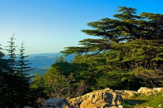10-things-to-do-in-chouf-lebanon-traveler