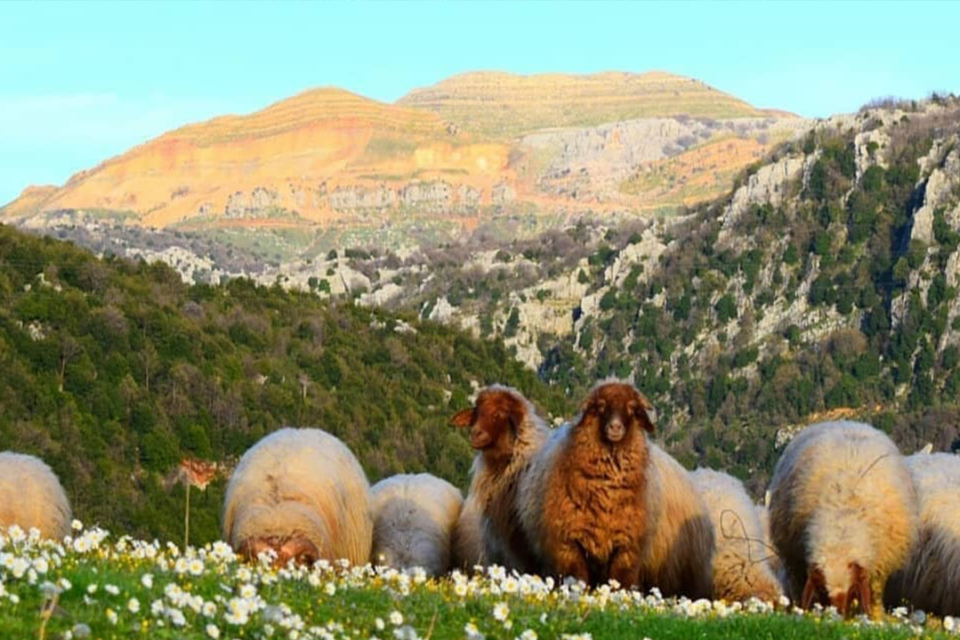 exploring-hiking-chahtoul-lebanon-traveler