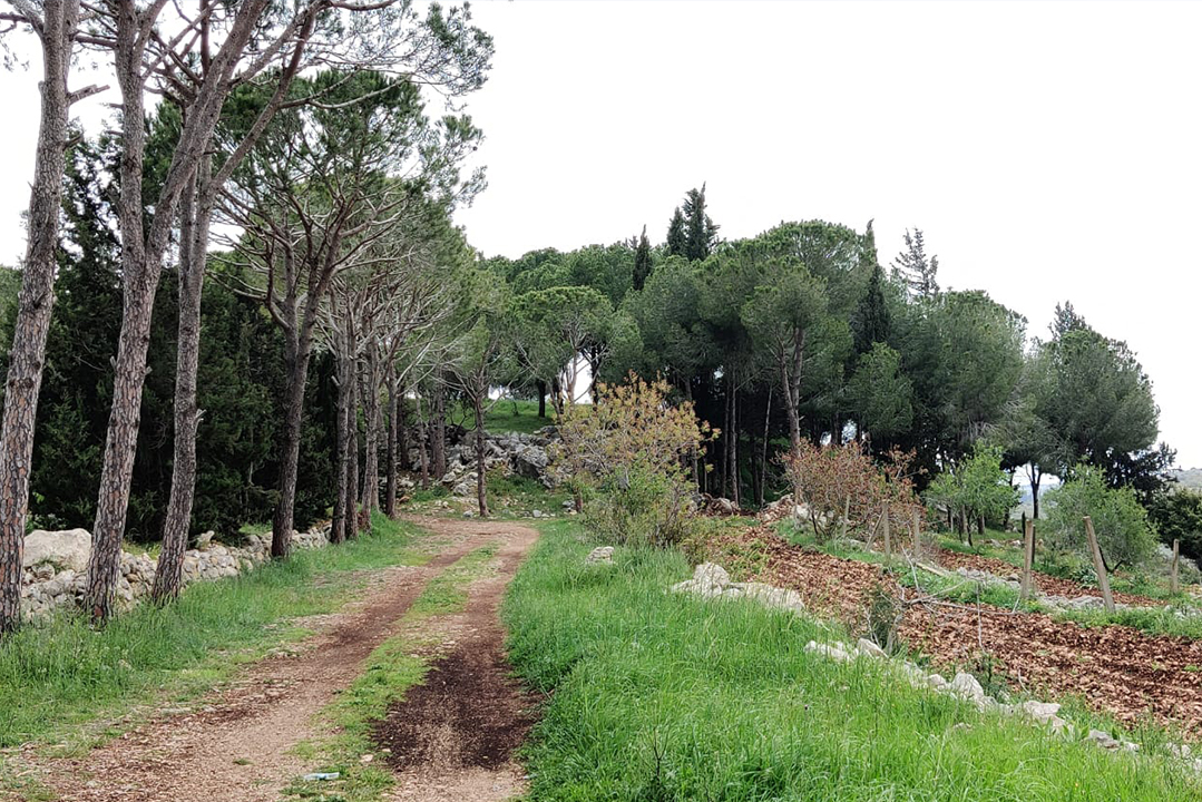 granite-green-wonders-nature-lebanon-traveler