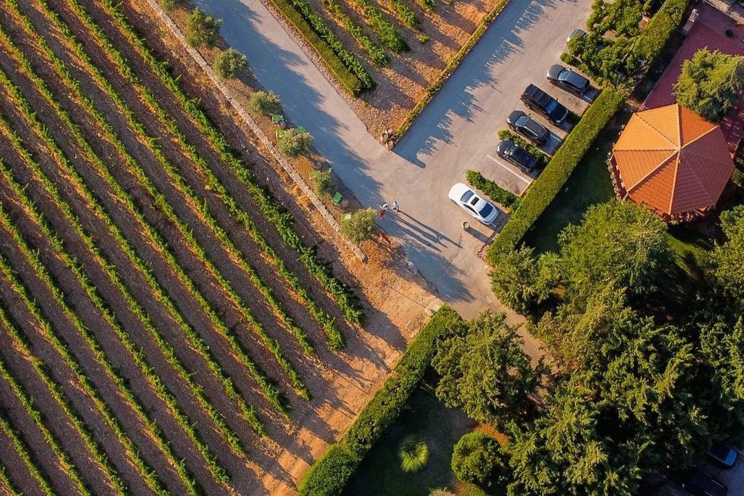 chateau-kefraya-lebanon-traveler