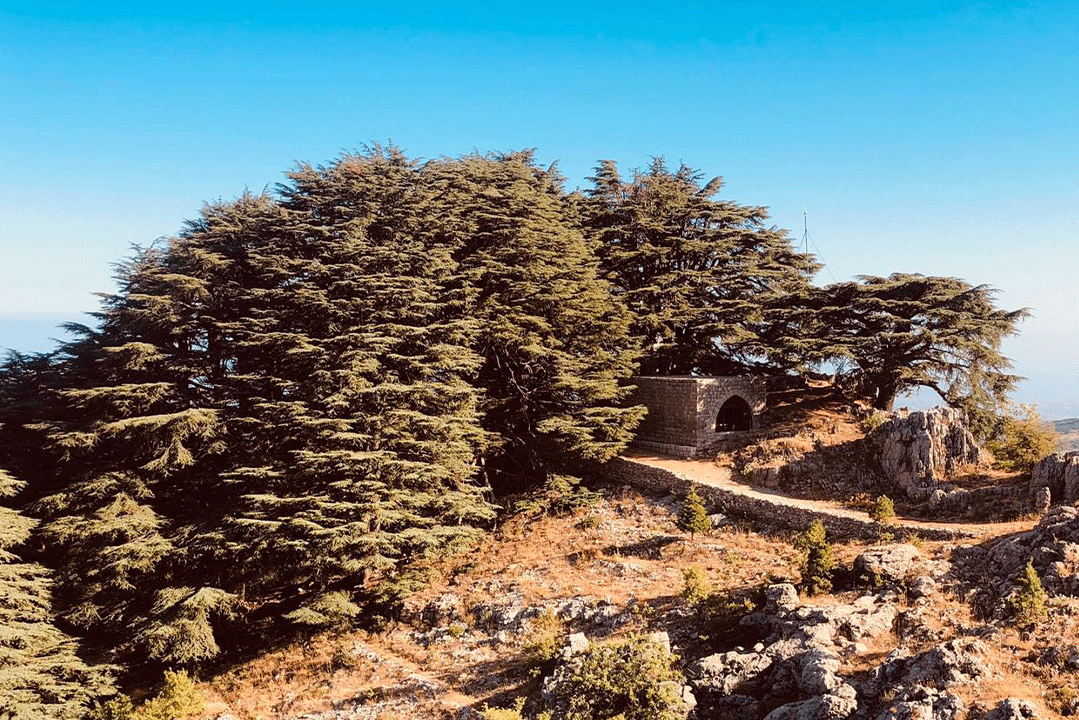 church-jaj-nature-lebanon-traveler