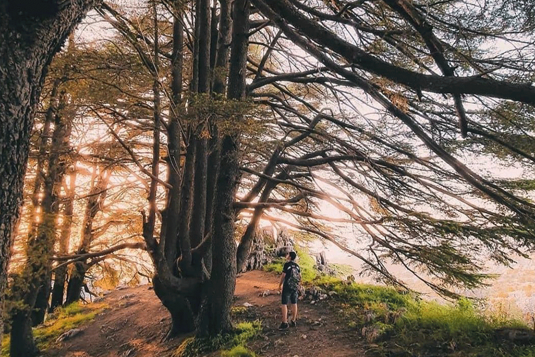 jaj-lebanon-traveler