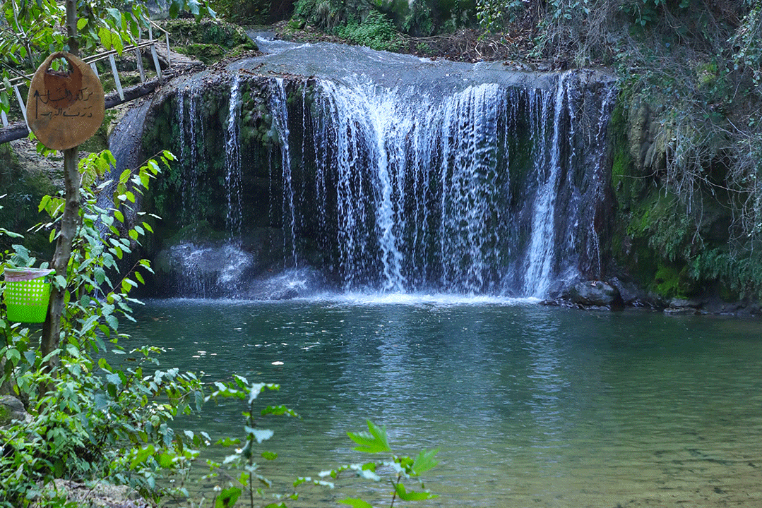 essay about lebanon nature