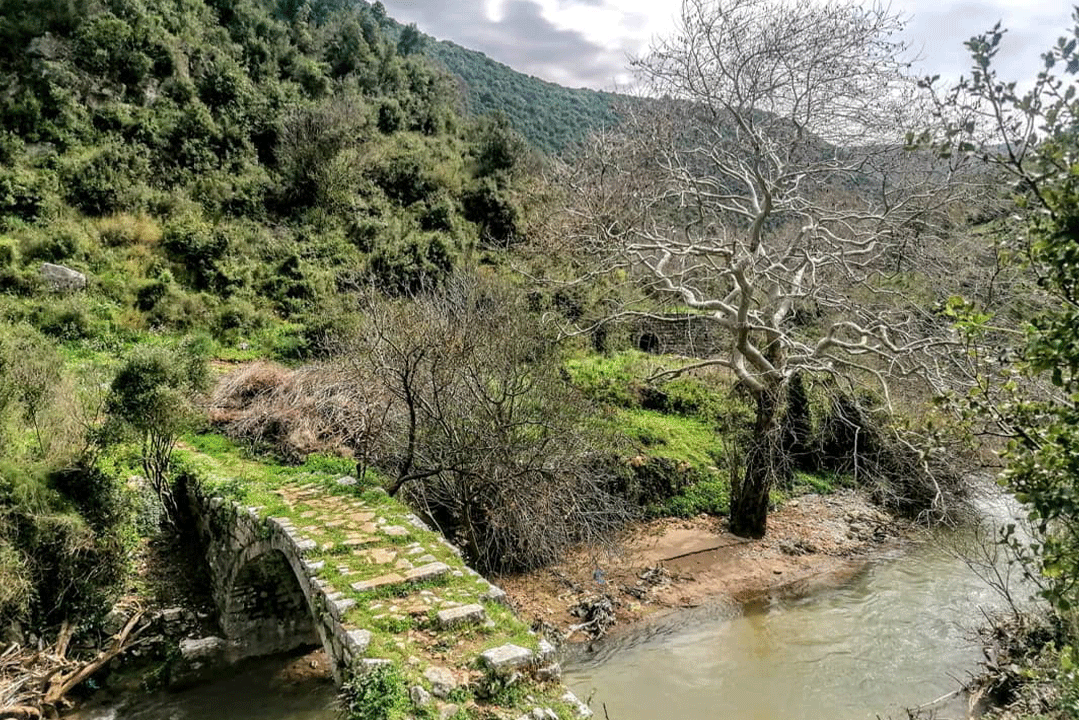 nahr-al-joz-lebanon-traveler