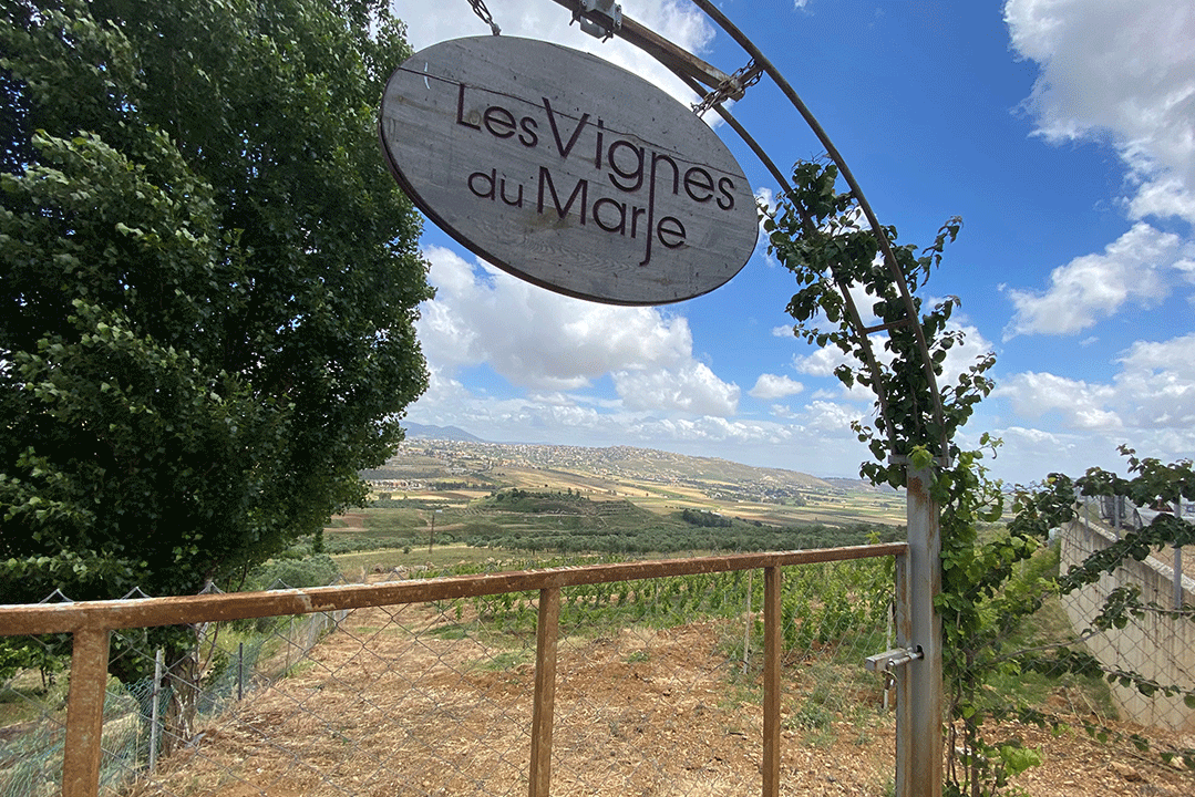 les-vignes-du-marjes-vineyard-lebanon-traveler