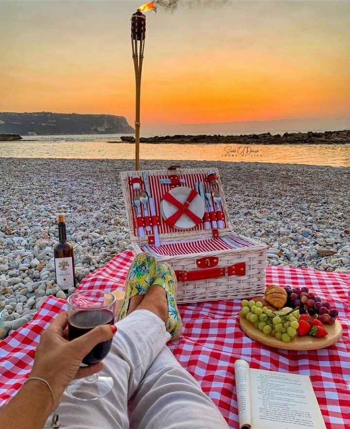 coast-picnic-lebanon-traveler-tourism