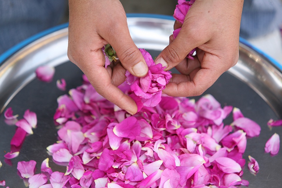 Event Pick of the Week The Scents of Lebanon Tour Lebanon Traveler