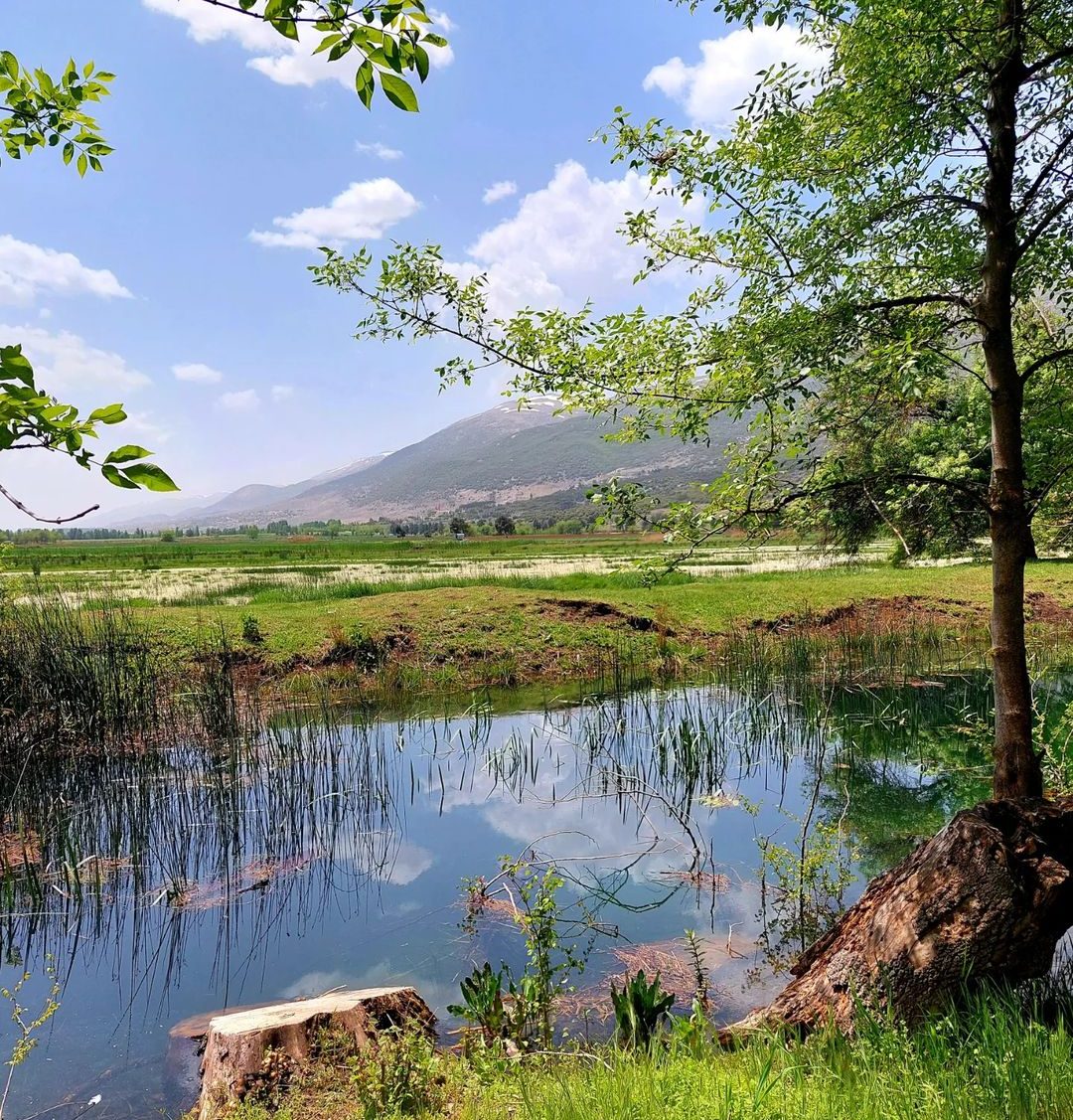 ammiq-wetland-lebanon-traveler-tourism