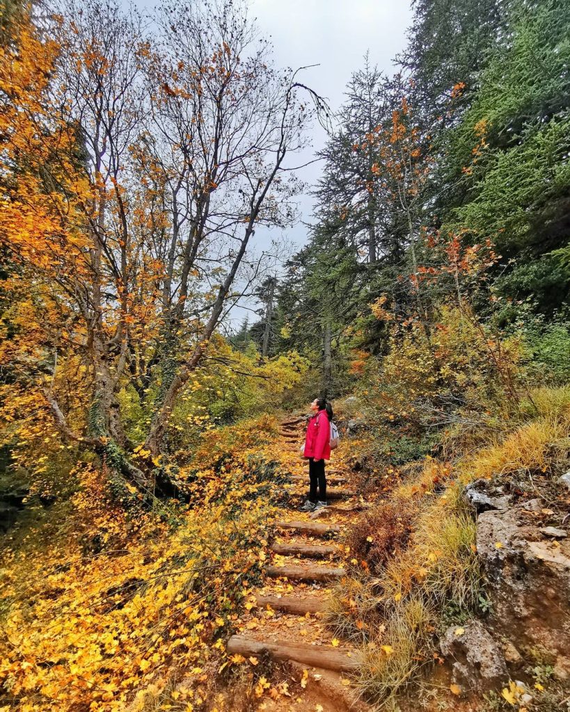 Top 10 Hikes in Lebanon to Enjoy this Fall Lebanon Traveler