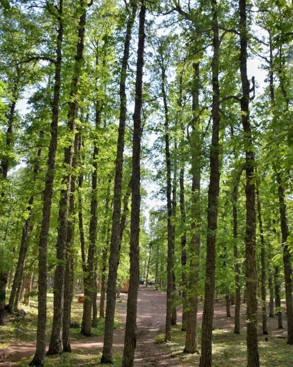 Top 10 Hikes in Lebanon to Enjoy this Fall Lebanon Traveler