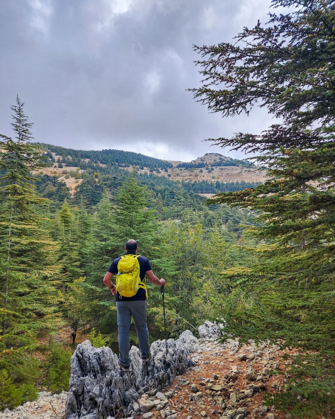 shouf-biosphere-reserve-hikes-lebanon-traveler-tourism