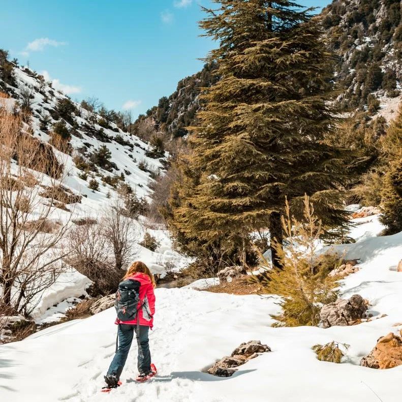 arz-ehmej-lebanon-traveler-tourism