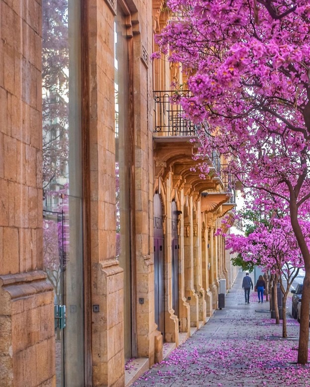 beirut-lebanon-traveler-tourism