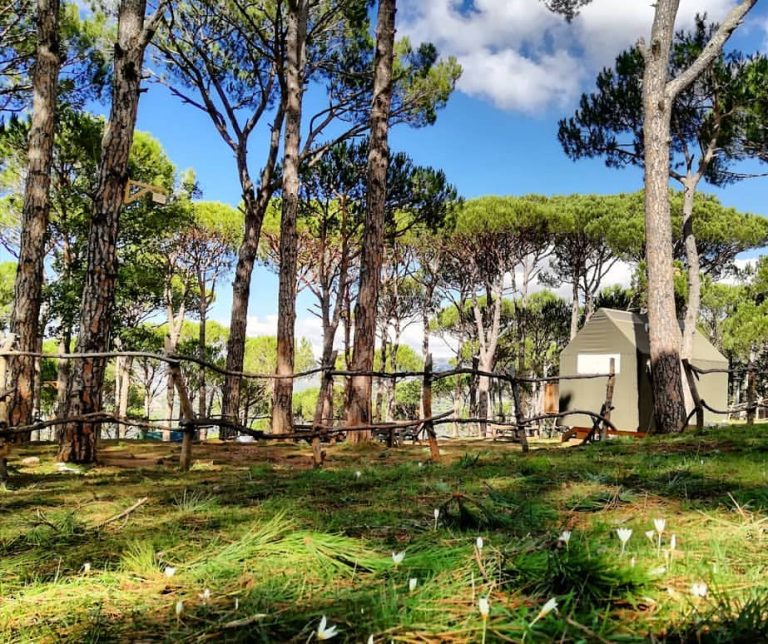 11 Scenic Picnic Spots in Lebanon Lebanon Traveler