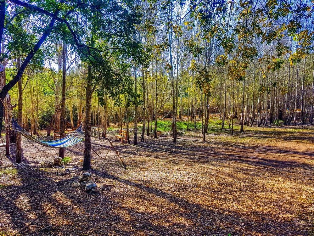 11 Scenic Picnic Spots in Lebanon Lebanon Traveler