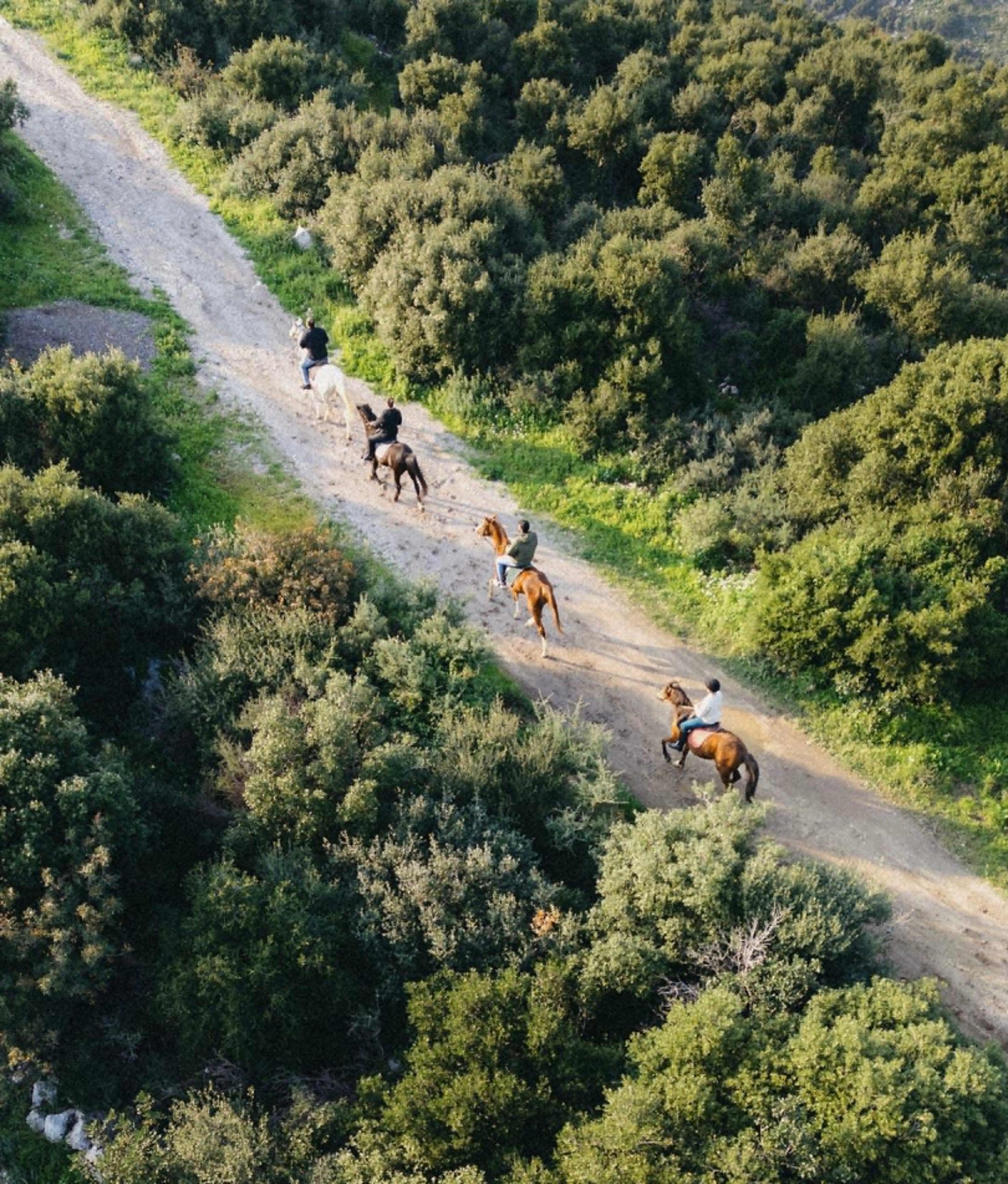 Thrilling Outdoor Activities in Lebanon Lebanon Traveler