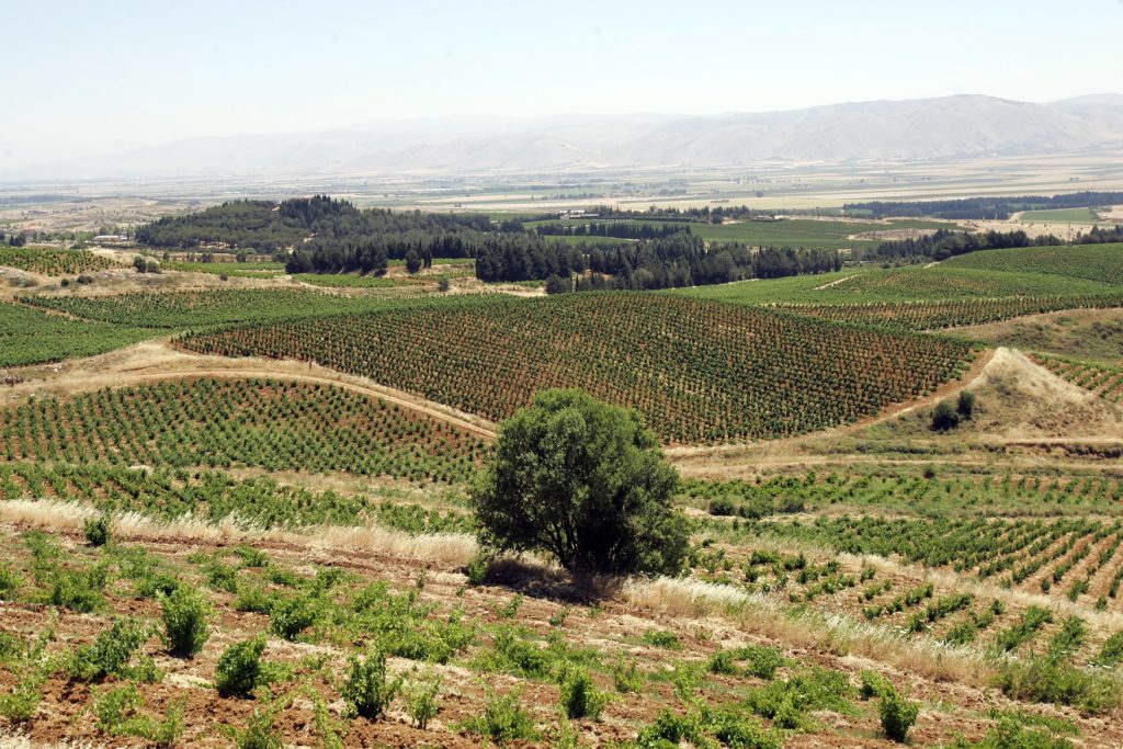 Kefraya wine