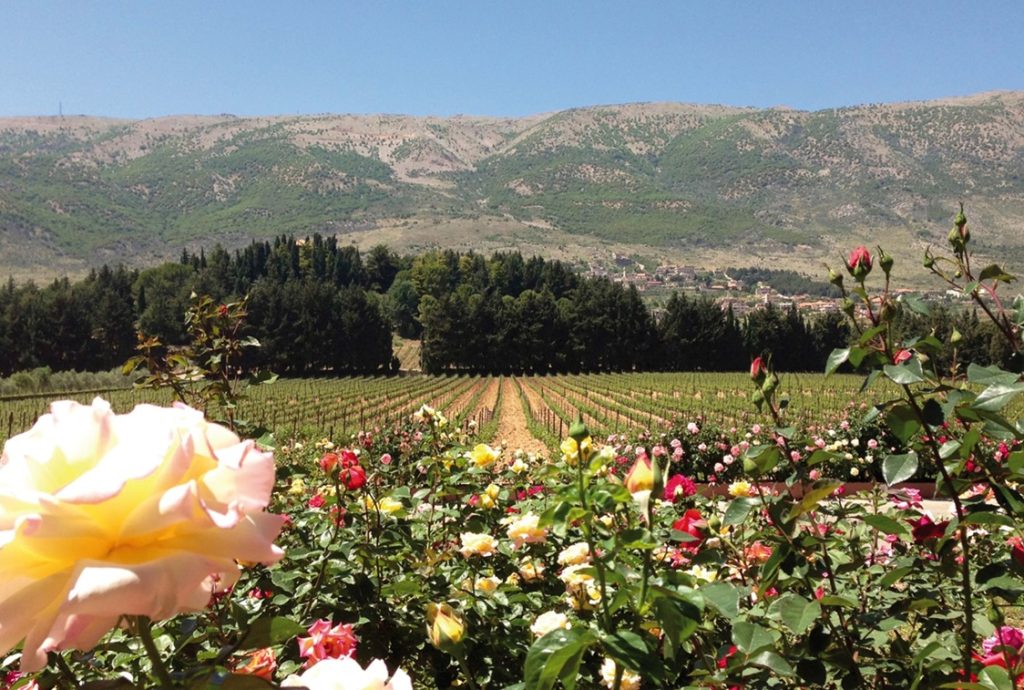 Kefraya winery