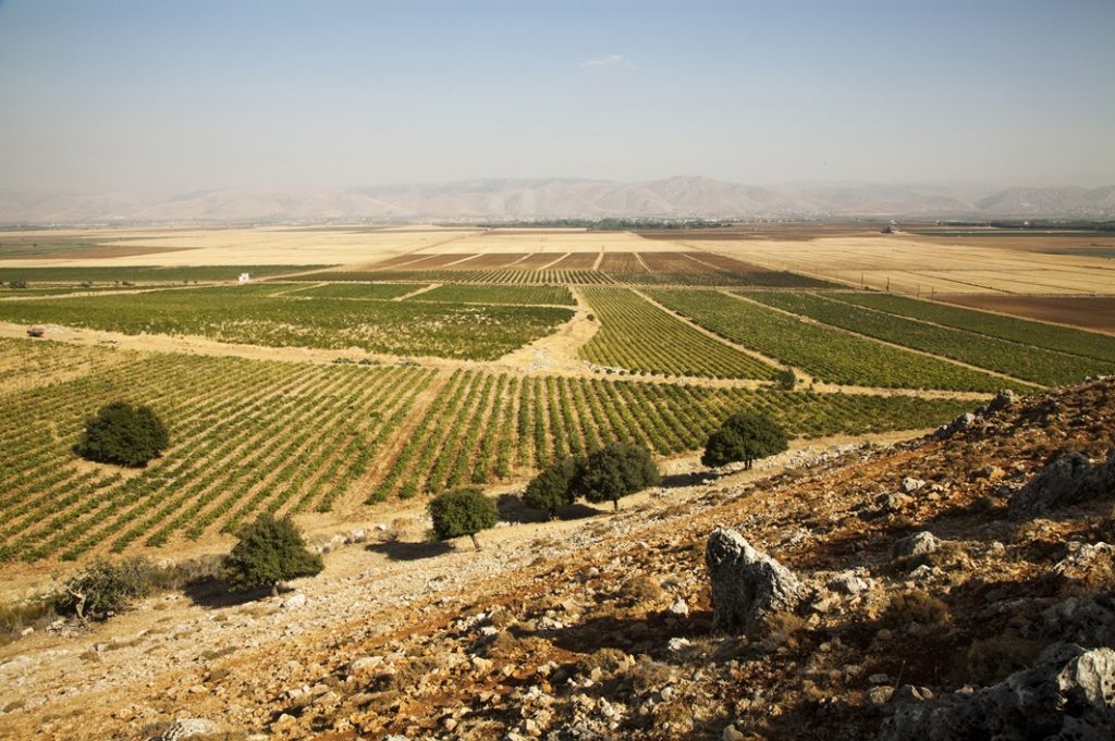 Domaine des Tourelles Lebanese winery